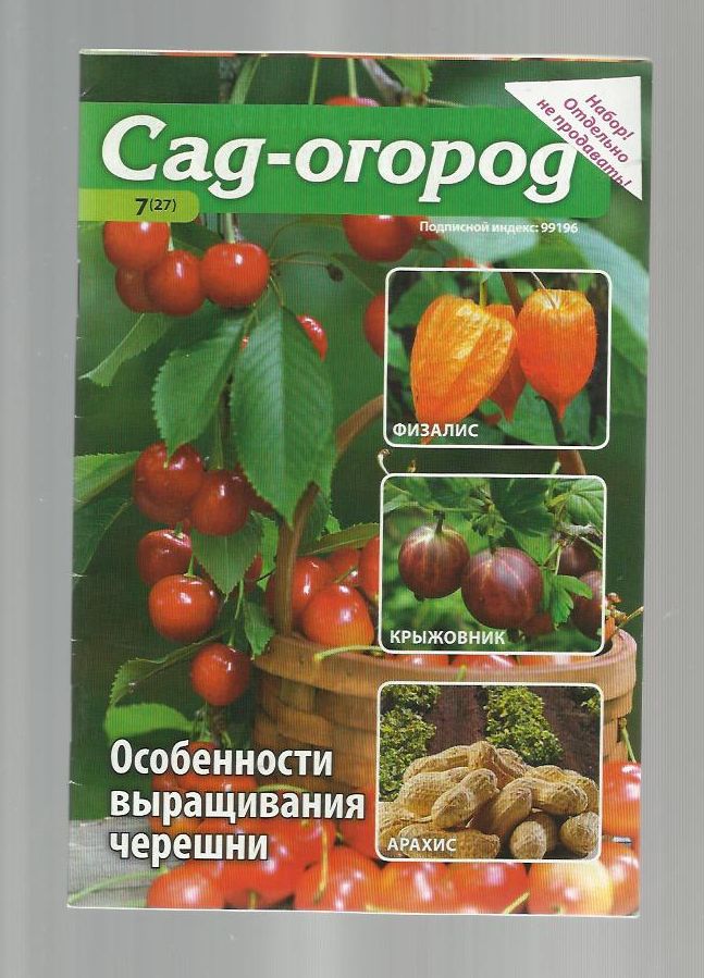 Льняное масло в капсулах: польза и вред, инструкция по применению, отзывы Льняное масло в капсулах: польза и вред, инструкция по применению